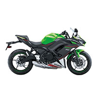 Carénage Kawasaki Ninja 650 EX650 2020-2024 Pas Chère