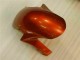 Brun Carénage Moto Honda CBR 1000 RR 06-07 Brun Carénage Moto Honda CBR 1000 RR 06-07