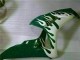 Blanc Vert Flamme Carénage Moto Honda CBR1000RR 2006-2007