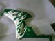 Blanc Vert Flamme Carénage Moto Honda CBR1000RR 2006-2007