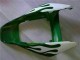 Blanc Vert Flamme Carénage Moto Honda CBR1000RR 2006-2007