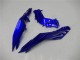 Bleu Noir Blanc Flamme Carénage Moto Kawasaki Ninja 300 EX300R 2013-2024