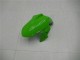 Blanc Vert Noir Carénage Moto Kawasaki Ninja 300 EX300R 2013-2024