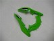 Blanc Vert Noir Carénage Moto Kawasaki Ninja 300 EX300R 2013-2024