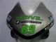 Argent Vert Noir Brillant Carénages Moto Honda CBR600RR 2003-2004