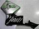 Argent Vert Noir Brillant Carénages Moto Honda CBR600RR 2003-2004