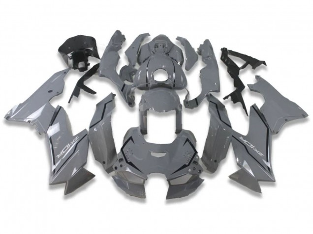 Nardo Gris Carénage Moto Kawasaki ZX10R 2021-2025