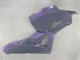 Caméléon Gris Dazz Violet Perle Carénage Moto Honda CBR600RR 2013-2023