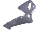 Caméléon Gris Dazz Violet Perle Carénage Moto Honda CBR600RR 2003-2004