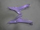 Caméléon Gris Dazz Violet Perle Carénages Moto Kawasaki Ninja 650 EX650 2020-2025