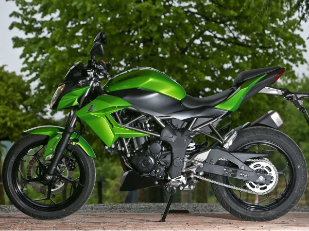 Vert Noir Mat Carénage Moto Kawasaki Z250/Z300 2015-2016