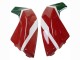 Blanc Rouge Vert Noir Mat Corse 21 Carénage Moto Ducati Panigale V2 2020-2024