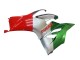 Argent Rouge Vert Carénage Moto Ducati Panigale V2 2020-2024
