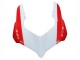 Argent Rouge Vert Carénage Moto Ducati Panigale V2 2020-2024