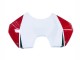 Blanc Rouge Vert Noir Brillant Carénage Moto Ducati Panigale V4 V4S 2018-2019