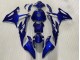 Bleu Brillant Foncé Carénage Moto BMW S1000RR 2023-2024