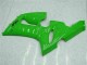 Vert Carénages Moto Kawasaki ZX6R 2005-2006