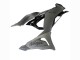 Gris Ninja Carénage Moto Kawasaki ZX6R 2023-2025