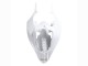 Blanc Or Décalque Carénage Moto Yamaha YZF 1000 R1 2004-2006