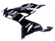Noir Brillant Blanc Carénage Moto Kawasaki ZX6R 2019-2022