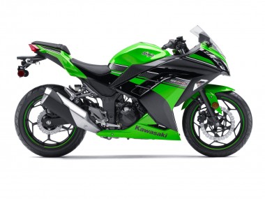 Vert Noir Carénages Moto Kawasaki EX300 2013-2024 Pas Chère