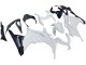 Blanc Noir Carénage Moto Kawasaki EX300 2013-2024