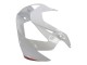 Blanc Rouge Carénage Moto Honda CBR900RR 929 2000-2001