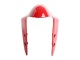 Rouge Carénage Moto Ducati 1299 2015-2020