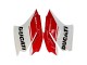 Blanc Rouge Vert Noir Mat Carénage Moto Ducati 1299 2015-2020