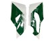 Blanc Rouge Vert Noir Mat Carénage Moto Ducati 1299 2015-2020