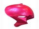 Rose Noir Brillant Carénage Moto Honda CBR1000RR 2004-2005