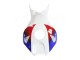 Blanc Rouge Bleu HRC Carénages Moto Honda CBR1000RR 2006-2007