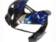 Noir Brillant Bleu Flamme Carénages Moto Honda CBR600RR 2005-2006