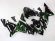 Noir Vert Flamme Ninja Carénage Moto Kawasaki ZX10R 2004-2005