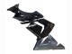 Ninja Noir Mat Brillant Carénage Moto Kawasaki ZX10R 2004-2005