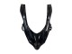 Ninja Noir Mat Brillant Carénage Moto Kawasaki ZX10R 2004-2005