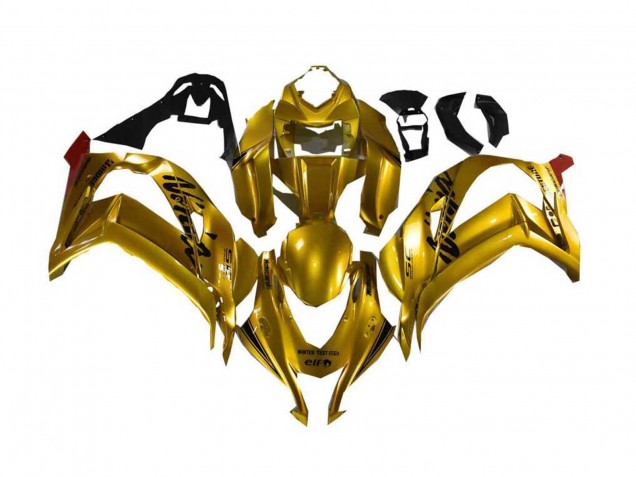 Or Noir Carénages Moto Kawasaki ZX10R 2016-2020