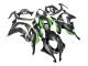 Noir Mat Vert Blanc Ninja Carénage Moto Kawasaki ZX10R 2016-2020