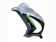 Argent Vert Noir Carénages Moto Kawasaki ZX10R 2016-2020