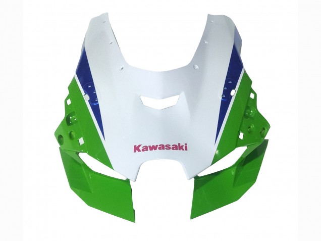 Blanc Vert Bleu Noir Carénage Moto Kawasaki ZX10R 2021-2025
