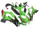 Vert Noir Rouge Carénage Moto Kawasaki ZX10R 2021-2025