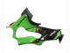 Vert Noir Rouge Carénage Moto Kawasaki ZX10R 2021-2025