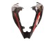 Vert Noir Rouge Carénage Moto Kawasaki ZX10R 2021-2025