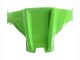 Vert Noir Rouge Carénage Moto Kawasaki ZX10R 2021-2025