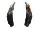 Vert Noir Rouge Carénage Moto Kawasaki ZX10R 2021-2025