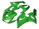 Vert Carénage Moto Kawasaki ZX6R 2005-2006