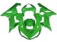 Vert Carénage Moto Kawasaki ZX6R 2005-2006