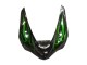 Noir Brillant Vert Flamme Carénages Moto Kawasaki ZX6R 2005-2006