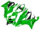 Vert Carénage Moto Kawasaki ZX6R 2019-2022