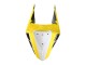 Jaune Blanc Noir Bande Carénage Moto Yamaha YZF R3/R25 2019-2021